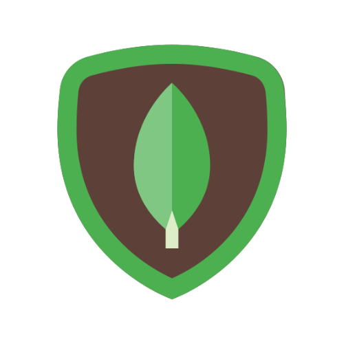 Portrait of MongoDB Atlas