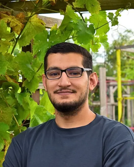 Portrait of Omid Mohammad